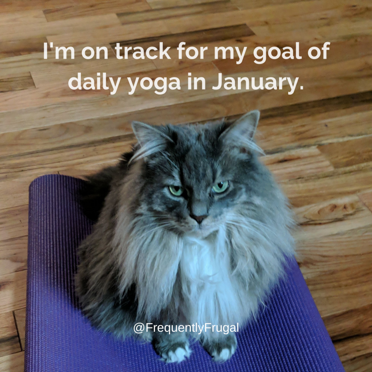 cat sitting on a goa mat with text reading "I'm on track for my goal of daily yoga in January."